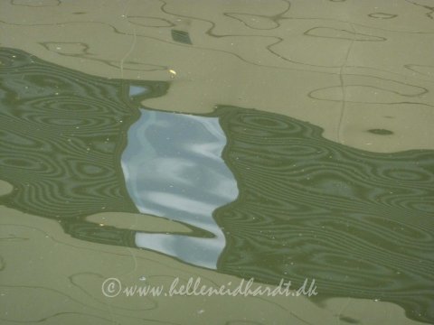 Reflection helle neidhardt